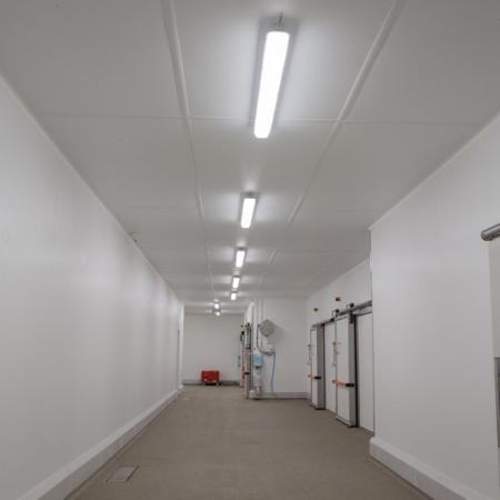 Hygienic and durable ceiling in a food production facility